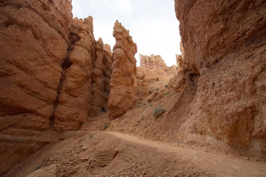 San Francisco: Yosemite, Las Vegas, Bryce & Zion, 6-Day Tour - Key highlights to know before you go