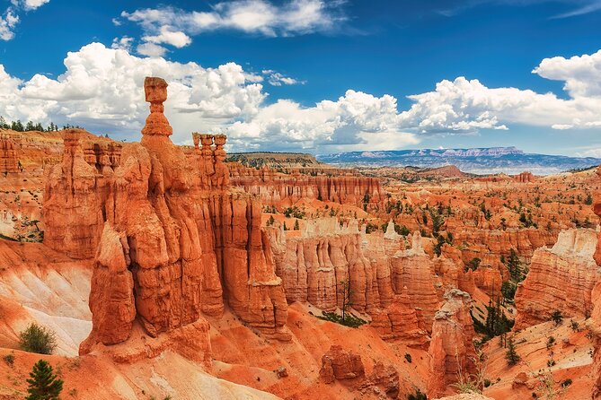 San Francisco: Yosemite, Las Vegas, Grand Canyon, 6-Day Tour - Key highlights worth planning around
