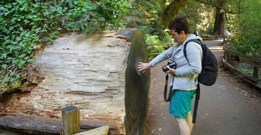 SF: Guided Muir Woods Tour & Hop-On Hop-Off Tour (Save 15%) - Key Points at a Glance