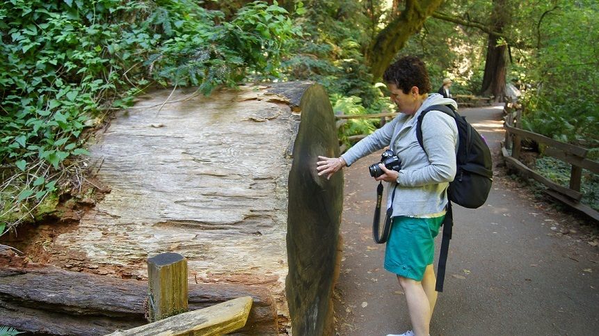 SF: Guided Muir Woods Tour & Hop-On Hop-Off Tour (Save 15%) - Sausalito in 45 Minutes: Quick, Scenic, and Efficient