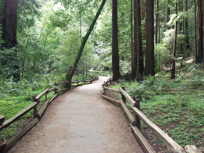 SF: Guided Muir Woods Tour & Hop-On Hop-Off Tour (Save 15%) - Practical Tips That Make the Whole Day Easier