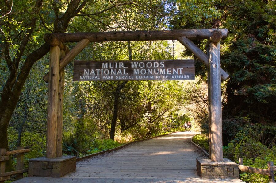 SF: Muir Woods, Sausalito, Golden Gate Bridge Private Tour - A Private 4-Hour Loop North of San Francisco