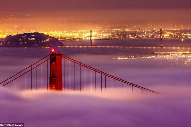 SFO Pick-Up with City Sightseeing Tour - The Driver Touch: Clean Car, Smooth Driving, Helpful Dinner Ideas