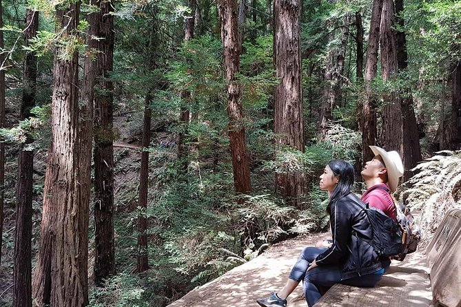 Shore Excursion from SF: Guided Tour to Muir Woods and Sausalito - Sausalito Boardwalk: 45 Minutes With Bayfront Charm