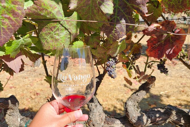 Small Group Napa and Sonoma Full-Day Wine Tour from San Francisco - Sonoma Valley stop: your first tastings and the region overview