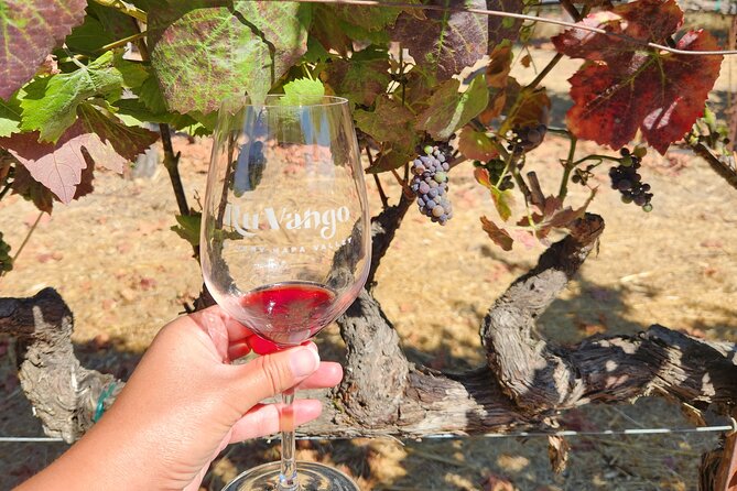 Small Group Napa and Sonoma Half-Day Wine Tour from San Francisco - Sonoma Valley Stop: Guided Winery Time and Several Outdoor Tastings