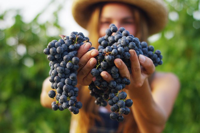 Small Group Napa Valley Tour for Wine Lovers - Calistoga lunch break and the Welcome to Napa photo moment