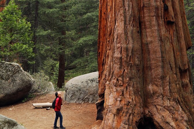 Small Group Redwoods, California Coast & Sausalito Day Trip from San Francisco - Duncans Mills Lunch Break: Where You Refuel and Reset