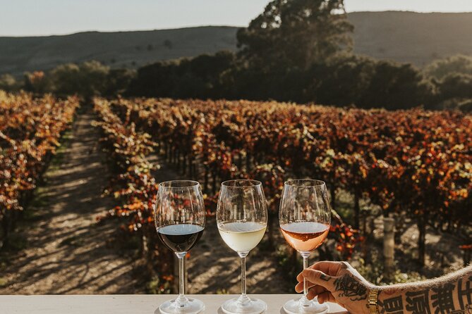 Small Group: Ultimate Napa & Sonoma Wine Tour from San Francisco - Napa Winery Hour: Tastings, Terroir, and How the Region Earned Its Reputation
