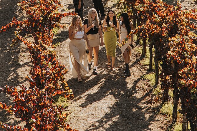 Small Group: Ultimate Napa & Sonoma Wine Tour from San Francisco - Sonoma Square Lunch Break: Choose a Meal, Then Choose a Mood