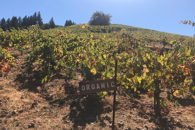 Small-Group Wine Country Tour from San Francisco with Tastings - Crossing the Golden Gate Bridge, then arriving in rolling Sonoma hills