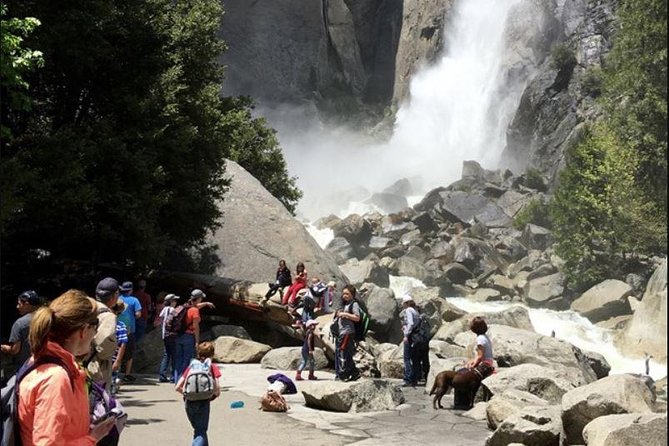 Small Group Yosemite and Giant Sequoias Day Trip from San Francisco - Yosemite Valley free time: where you choose your pace