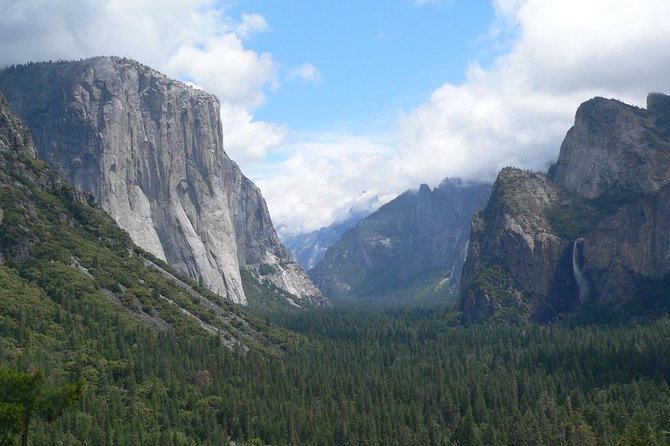 Small Group Yosemite and Giant Sequoias Day Trip from San Francisco - Tuolumne Grove of Giant Sequoias: the time that makes the day feel worth it