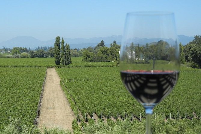 Sonoma Wine Tour with 2 Tastings Included Small-Group Half Day - Sonoma with two tastings, from San Francisco, in a single half-day