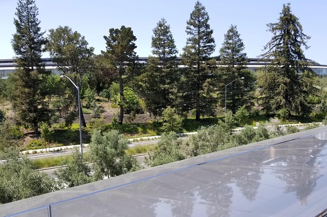SUV Tour To Silicon Valley Including Stanford Walking Tour - Google Campus photo time with Android Lawn statues