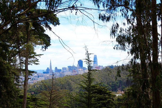 The Presidio: Main Post to the Golden Gate Bridge - Bay Area Ridge Trail and the Spire corridor: how the route stays interesting