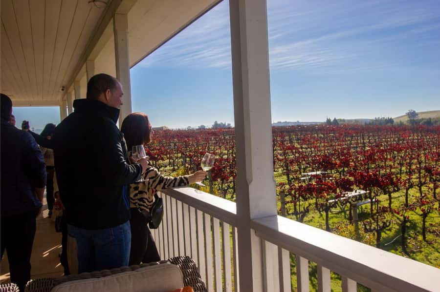 The Ultimate Napa & Sonoma Wine Tour - Sonoma Square Lunch Break: 2 hours to control the pace