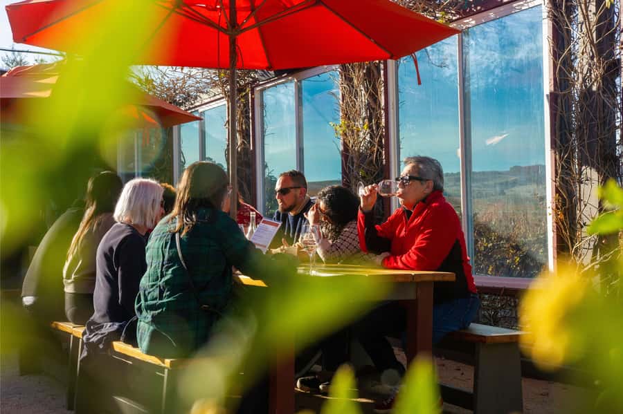 The Ultimate Napa & Sonoma Wine Tour - Napa: One hour of a boutique winery experience