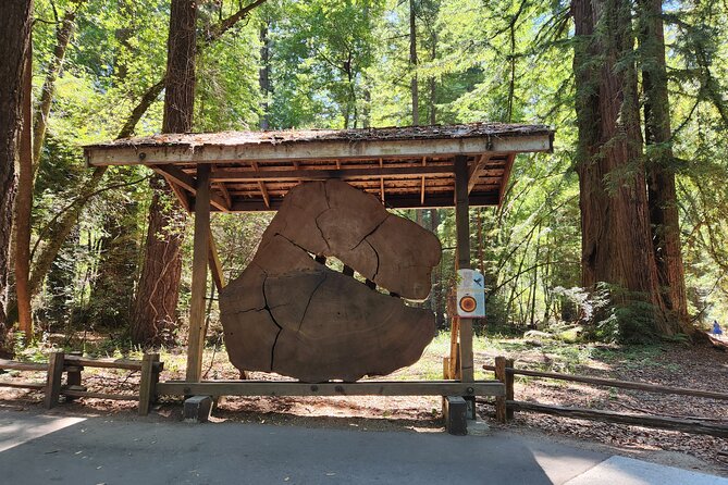 Train Ride Adventure through Mother Natures Giant Redwoods Park - Roaring Camp Railroads: steam, bridges, and giant redwoods