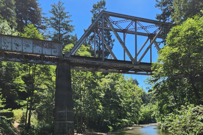 Train Ride Adventure through Mother Natures Giant Redwoods Park - Who this tour fits best