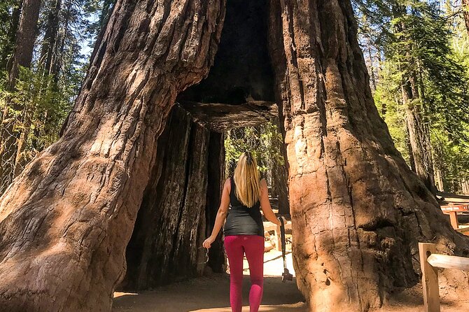 Yosemite 3-Day Camping Adventure from San Francisco - Day 1 Stops That Set the Tone: Sequoias, Valley Sights, and Yosemite Village on Your Terms