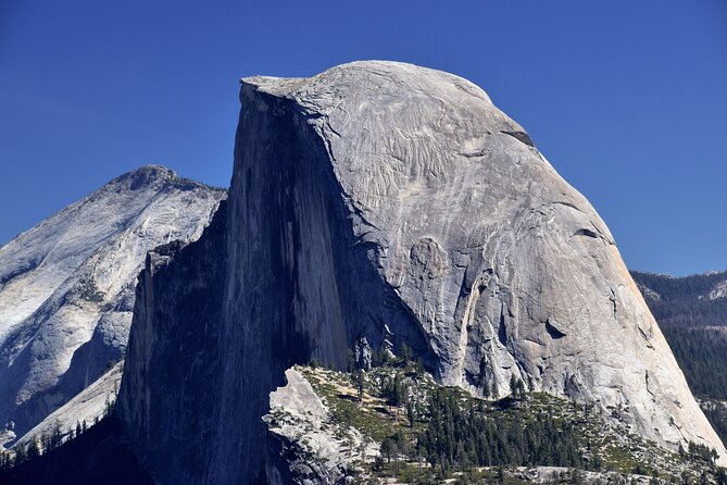 Yosemite Adventure: Full-Day Private Tour from San Francisco - Booking timing and tour rhythm for a one-day Yosemite push