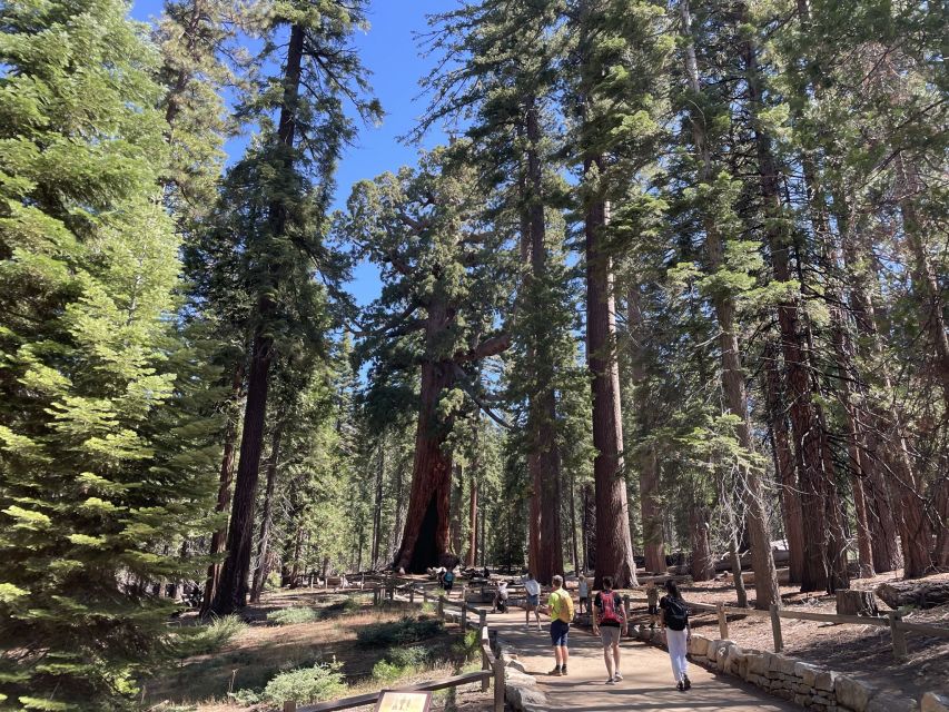 Yosemite, Giant Sequoias, Private Tour from San Francisco - Key highlights that make this private Yosemite day worth it
