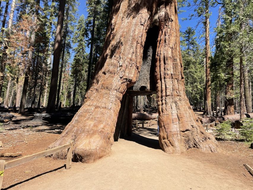 Yosemite, Giant Sequoias, Private Tour from San Francisco - Valley View for the last photo angles before heading back