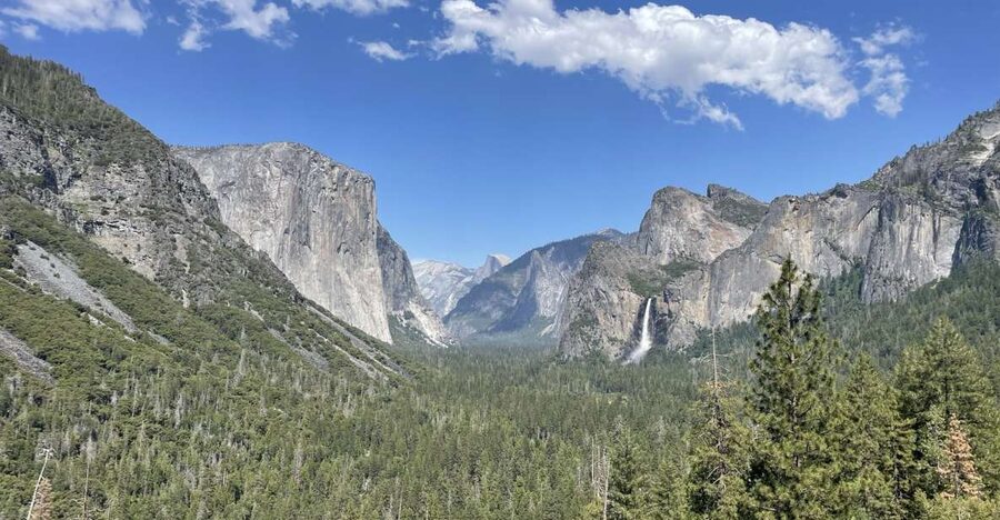 Yosemite, Giant Sequoias, Private Tour from San Francisco - Why a private Yosemite and sequoia day makes sense from San Francisco