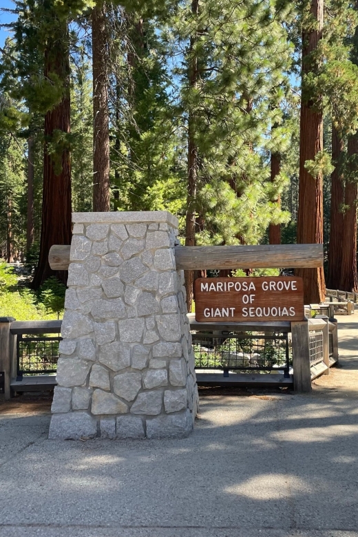 Yosemite, Giant Sequoias, Private Tour from San Francisco - Giant sequoias at the grove stop: what you will actually do
