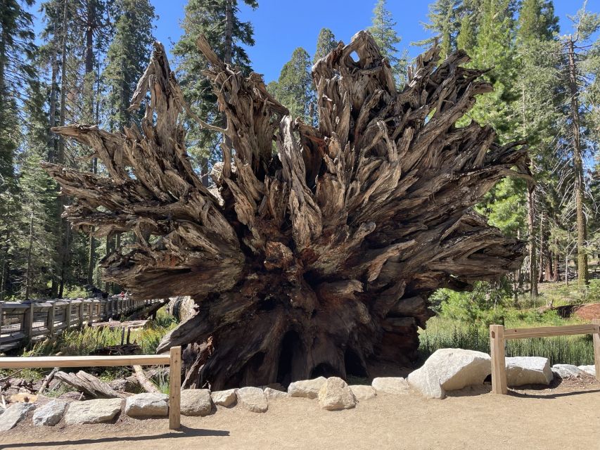 Yosemite, Giant Sequoias, Private Tour from San Francisco - Swinging Bridge and the Merced River: a classic stop for photos