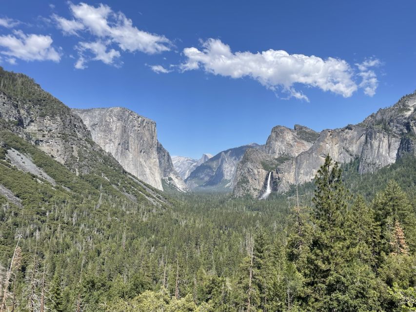 Yosemite, Giant Sequoias, Private Tour from San Francisco - Yosemite Village Store and The Ahwahnee: breaks that keep the day moving
