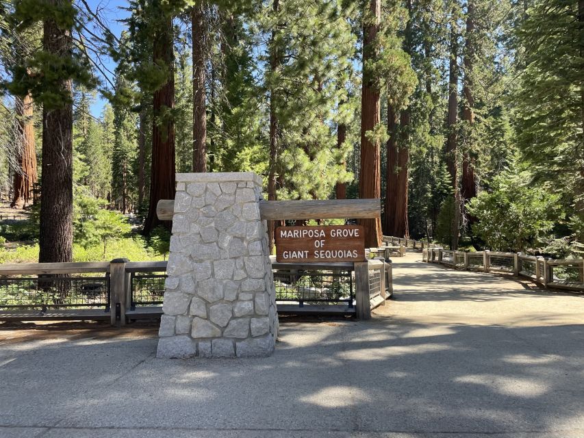 Yosemite, Giant Sequoias, Private Tour from San Francisco - The 13-hour reality check: comfort, timing, and pacing