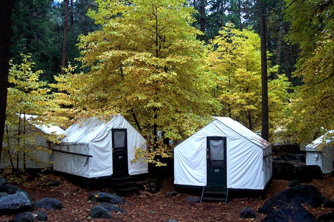 Yosemite National Park 2-Day Winter Tour from San Francisco - 6:00am pickups, Central Valley stop, and a biofuel ride you can actually enjoy