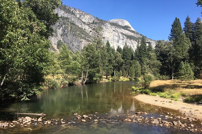 Yosemite National Park: Full Day Tour from San Francisco - The driver-guide factor: when the commentary makes the day