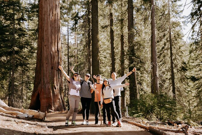 Yosemite National Park & Giant Sequoias 2-Day Semi-Guided Tour - Day Two: Half Dome Village and Another Yosemite Valley Pass, Then the Giant Sequoias Question