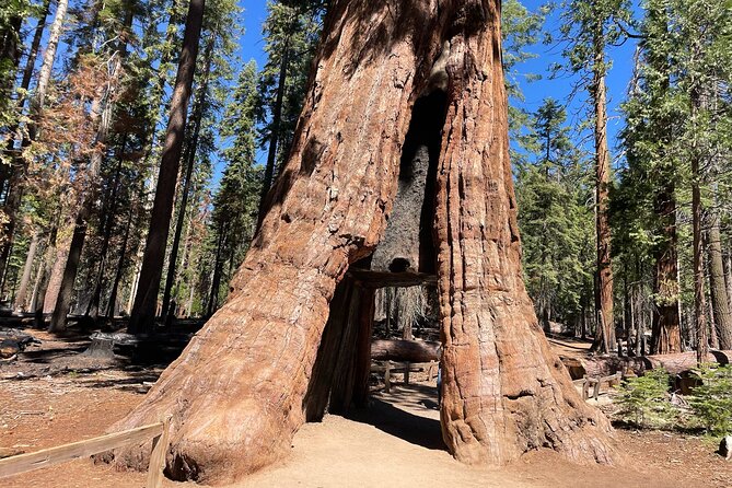Yosemite National Park & Sequoias Private Tour from San Francisco - Key highlights worth planning for