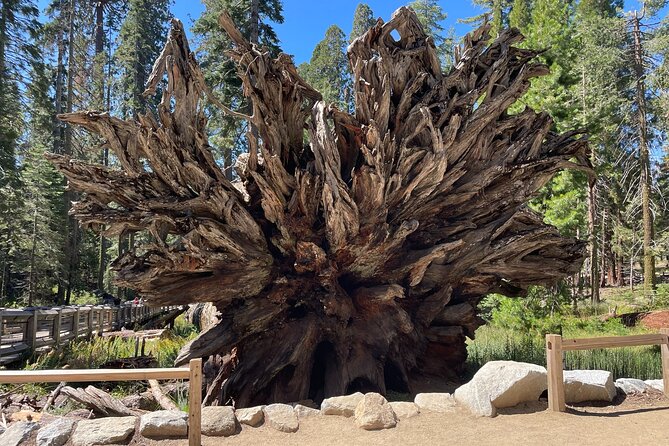 Yosemite National Park & Sequoias Private Tour from San Francisco - Price and value: when $1,200 per group makes sense
