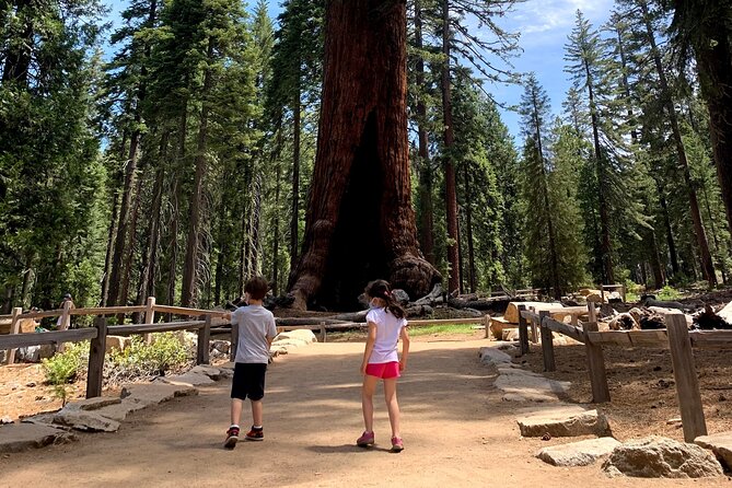 Yosemite Private Tour from San Francisco - A long day to Yosemite Valley, starting at 6:00 am