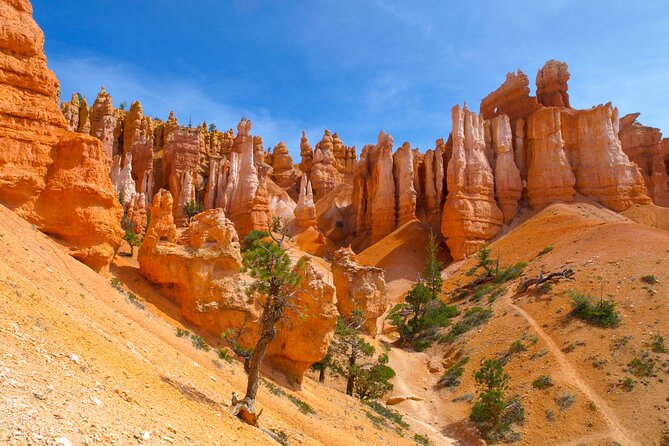 Zion, Bryce, Antelope, Grand Canyon, Las Vegas 6-Day Tour from SF - Quick hits you can plan around